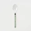 Asparagus Bistrot Dinner Spoon