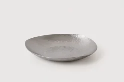 Stainless Steel Dish